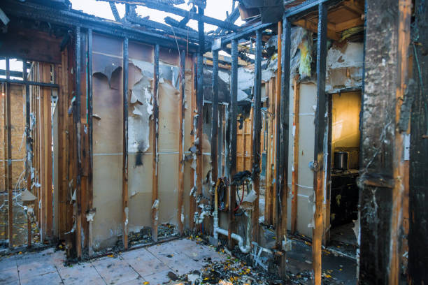 Professional Fire Damage Removal technician working in Mitchellville, IA